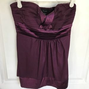 NWT Faisca Plum Strapless Top